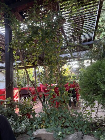 IMG 8499 Întâlniri (și bucate) care merg la suflet și rămân memorabile