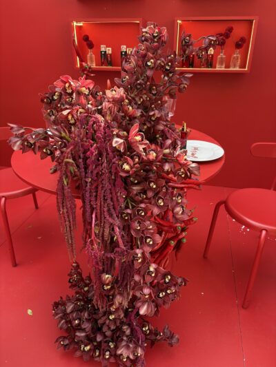 IMG 9301 I’m a Digital Diva! Digital Divas 2025