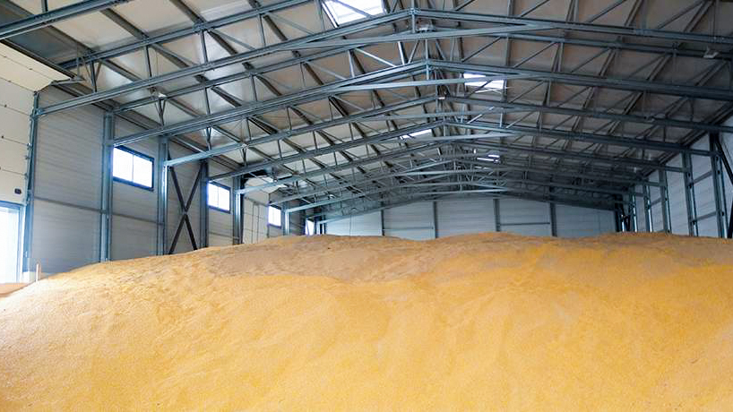 1 Frisomat Hala Agricola Hala Metalica Rădăcini de oțel - Interviu TV cu buget nelimitat