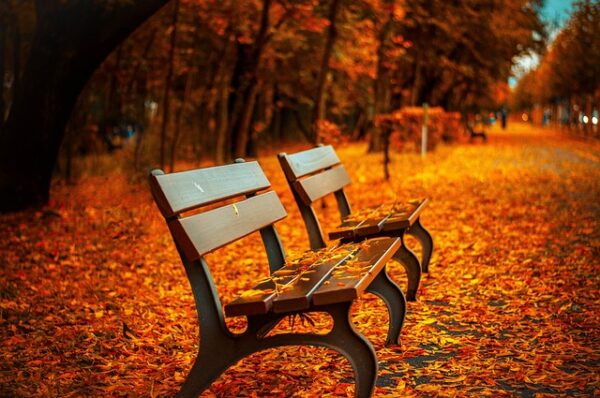 benches 560435 640 Septembrie 2026 sau, e toamnă iar în calendar