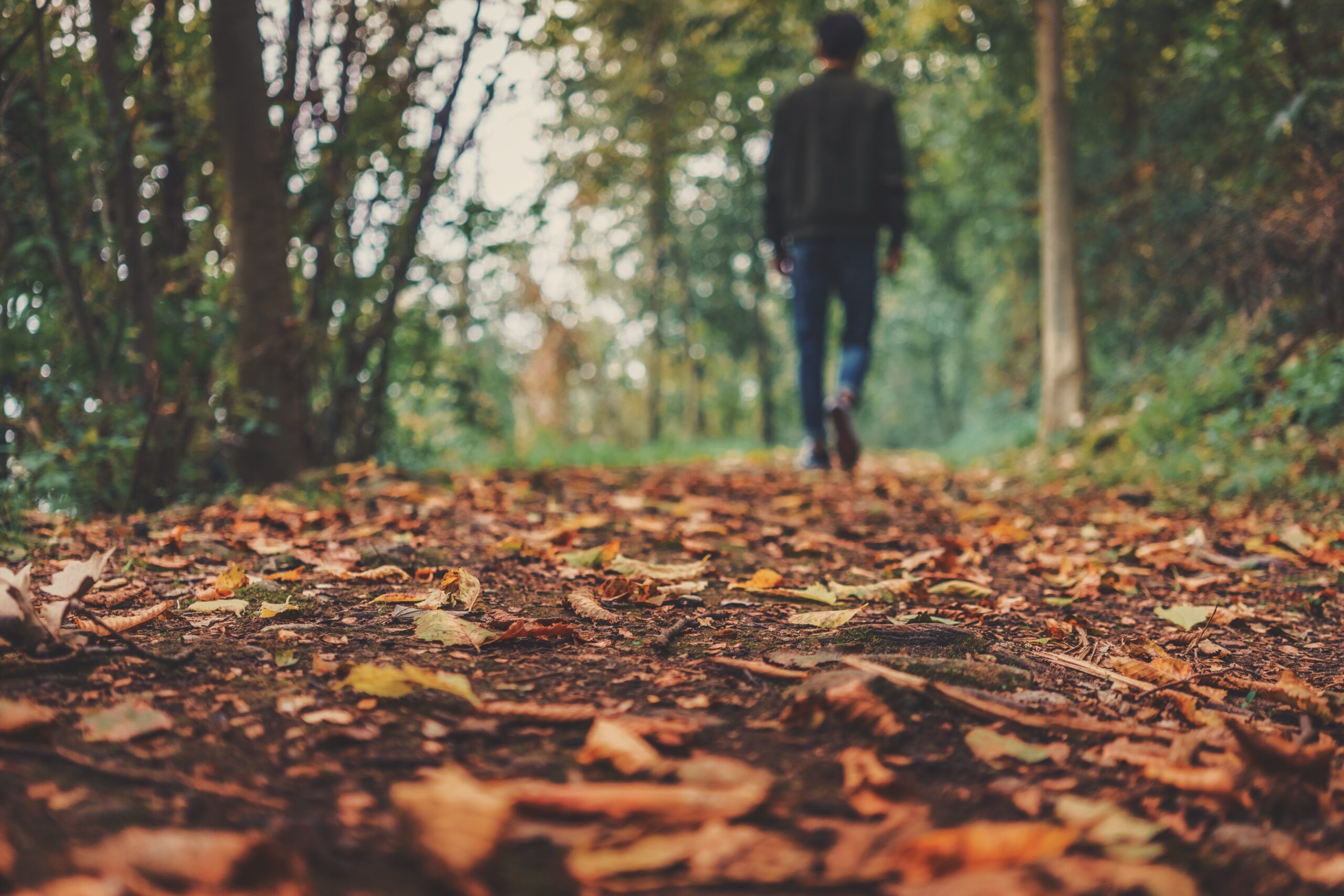 pexels autumn 1869160 scaled Septembrie 2026 sau, e toamnă iar în calendar